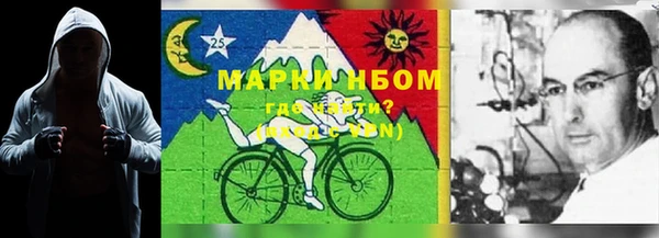 дживик Аркадак