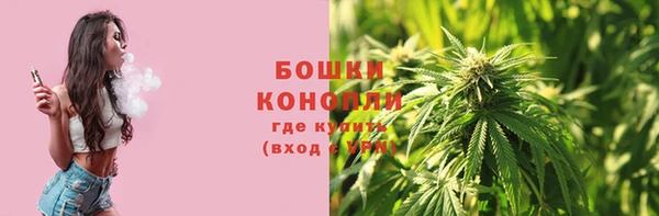 дживик Аркадак